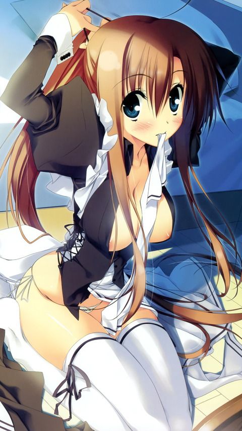 【Erotic Anime Summary】 Beauty and beautiful girls in maid clothes will serve you a good job [40 images] 14