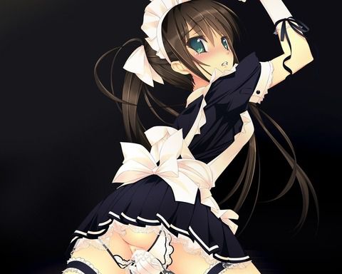 【Erotic Anime Summary】 Beauty and beautiful girls in maid clothes will serve you a good job [40 images] 29