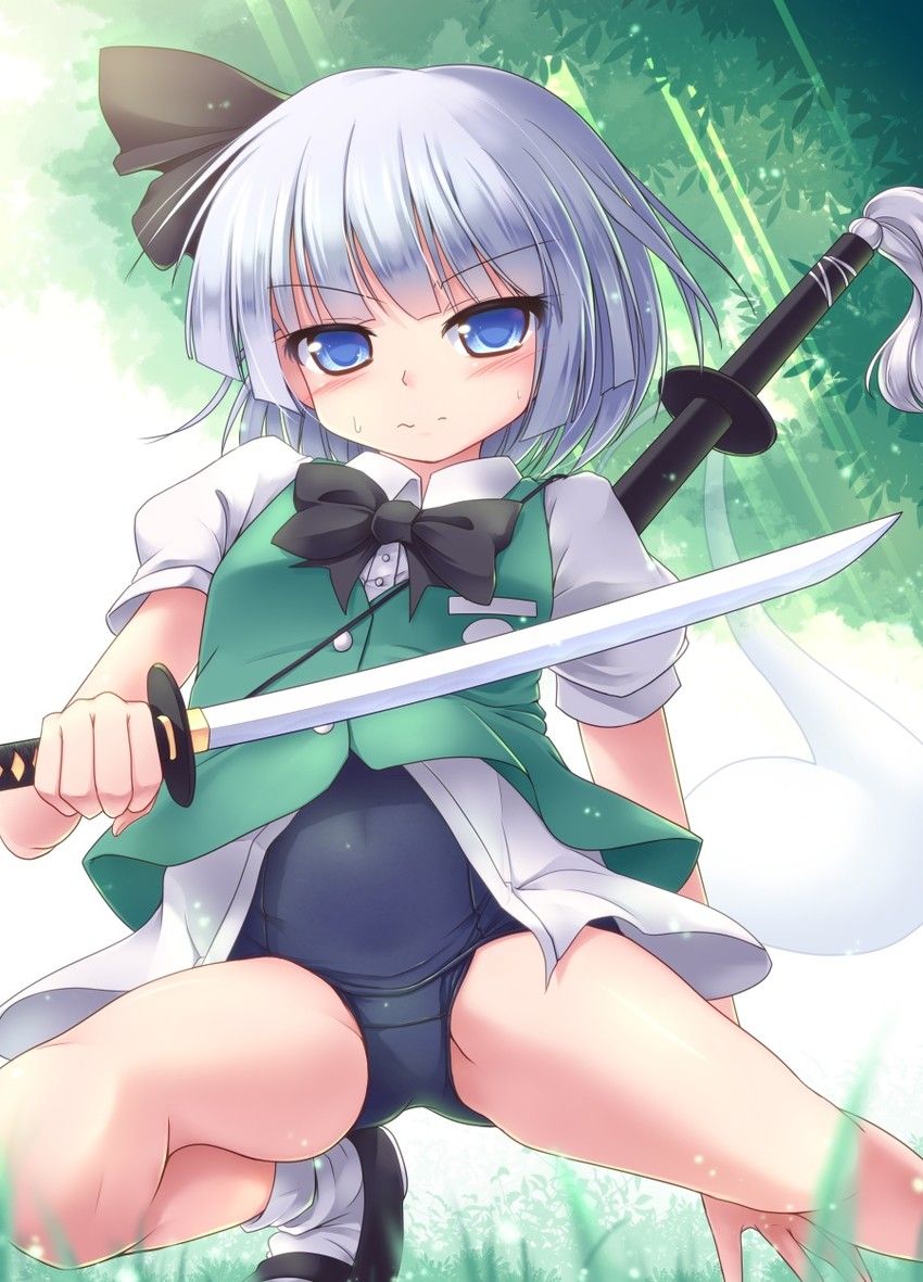 Touhou Project to release the erotic image folder 20