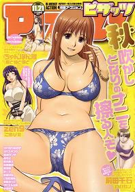 [Saigado] Cover Illustrations [彩画堂] Cover Illustrations 107