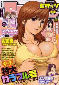 [Saigado] Cover Illustrations [彩画堂] Cover Illustrations 120