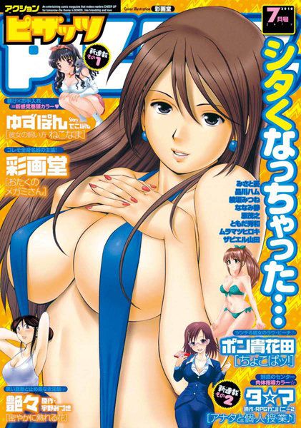 [Saigado] Cover Illustrations [彩画堂] Cover Illustrations 29