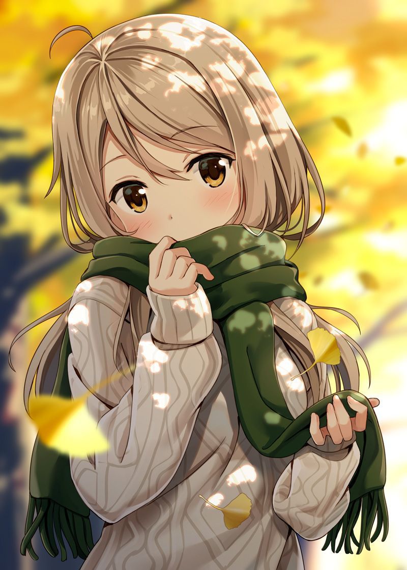 [2 next] beautiful girl secondary image [non-erotic] feel the autumn likeness 10