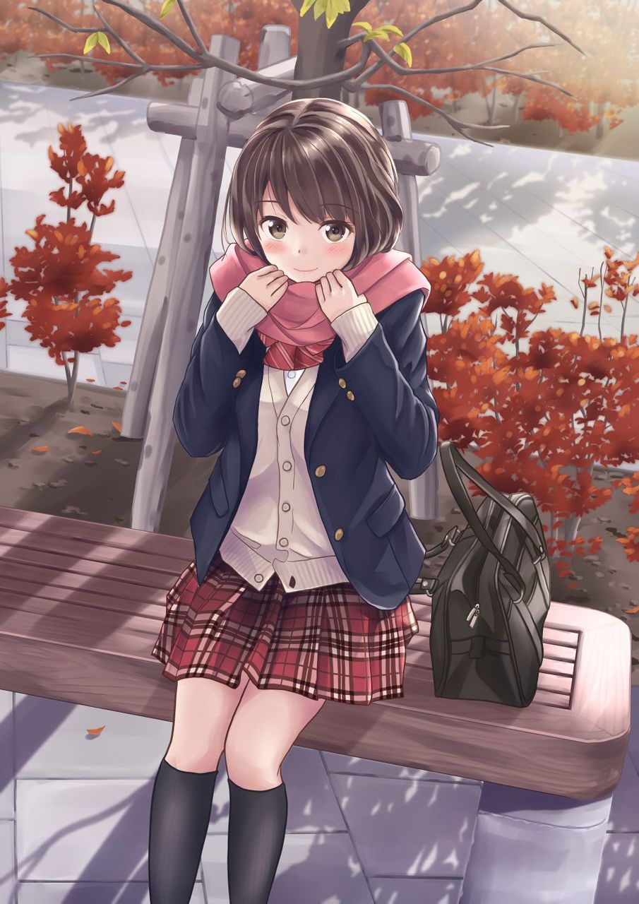[2 next] beautiful girl secondary image [non-erotic] feel the autumn likeness 20
