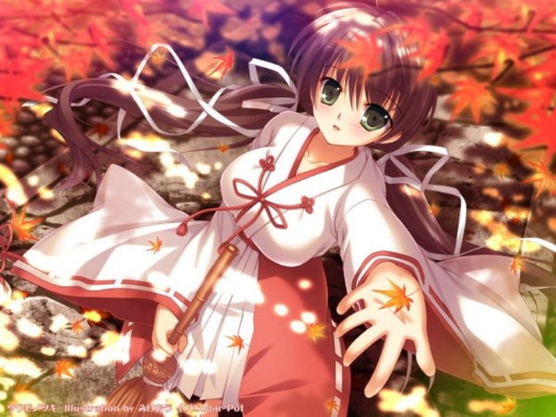 [Secondary] Moe erotic image thread of a cute shrine maiden to cleanse the heart 16