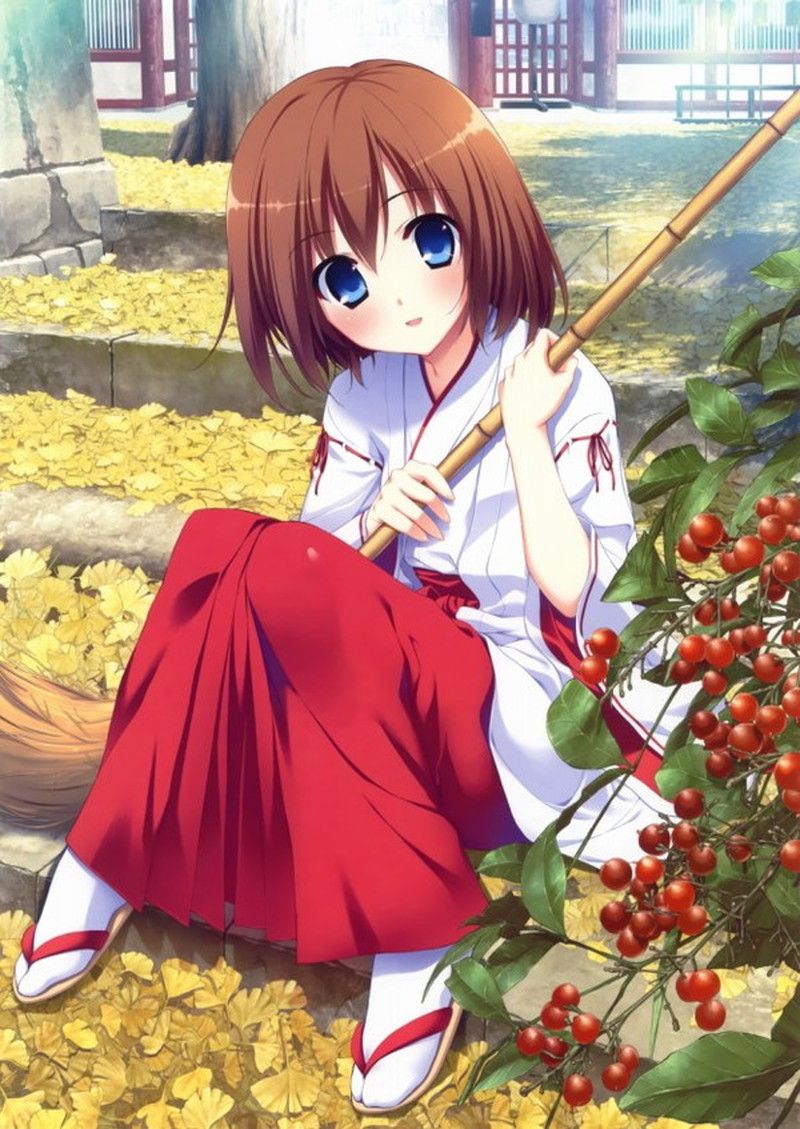 [Secondary] Moe erotic image thread of a cute shrine maiden to cleanse the heart 21