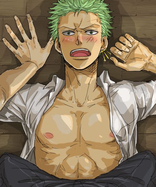 Collection: Zoro roronoa - Yaoi Bara 113