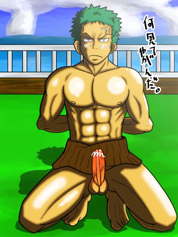 Collection: Zoro roronoa - Yaoi Bara 119