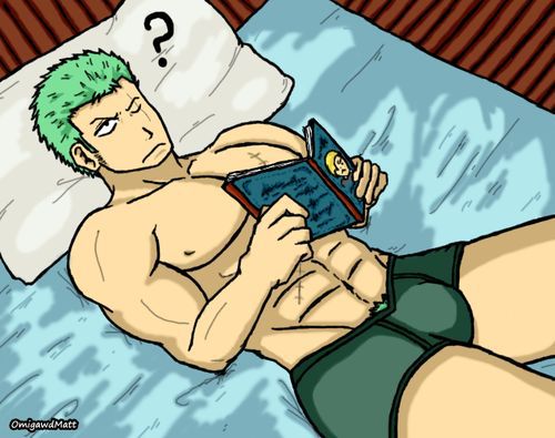 Collection: Zoro roronoa - Yaoi Bara 219