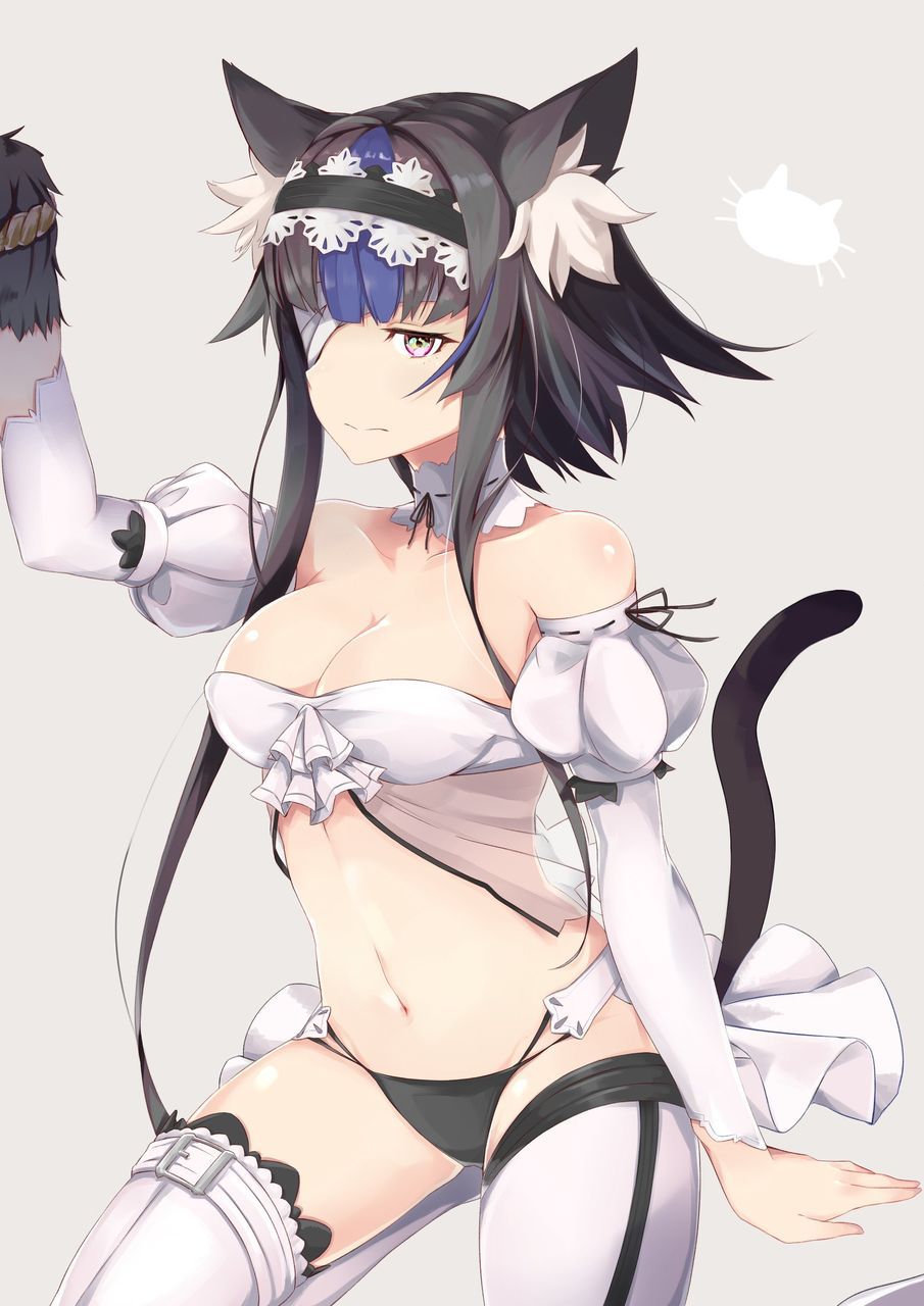 A thread that randomly pastes erotic images of cat ears 2