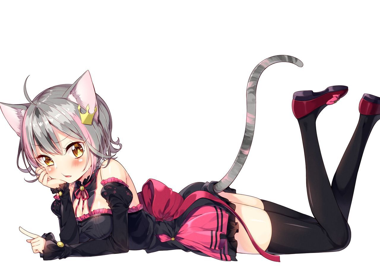 A thread that randomly pastes erotic images of cat ears 27