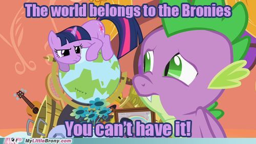 MLP Images 9