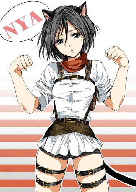 [Attack of the Giants 49] Mikasa Ackerman Secondary erotic image part3 40