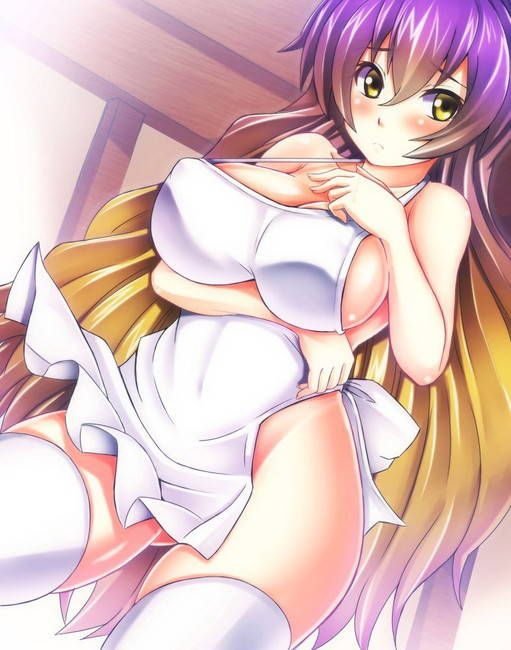 Erotic image to understand the naughty charm of naked apron 15