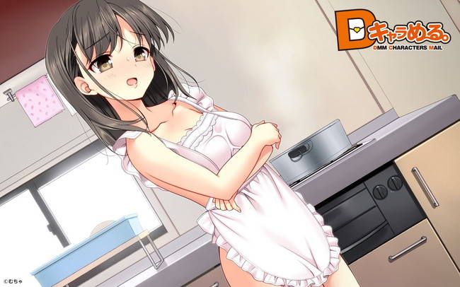 Erotic image to understand the naughty charm of naked apron 3