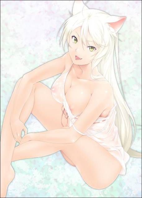 [66 sheets] [story] series of Hanekawa Tsubasa-chan secondary erotic image!! 1 【 Bakemonogatari 】 42