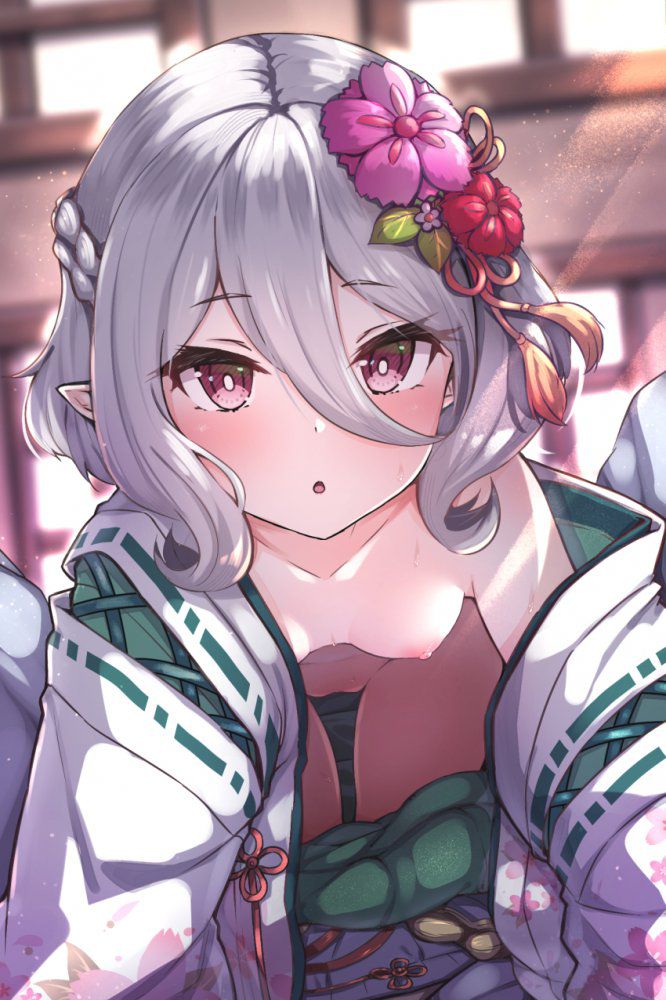 【Secondary】Silver-haired, white-haired girl image【Elo】 Part 4 29