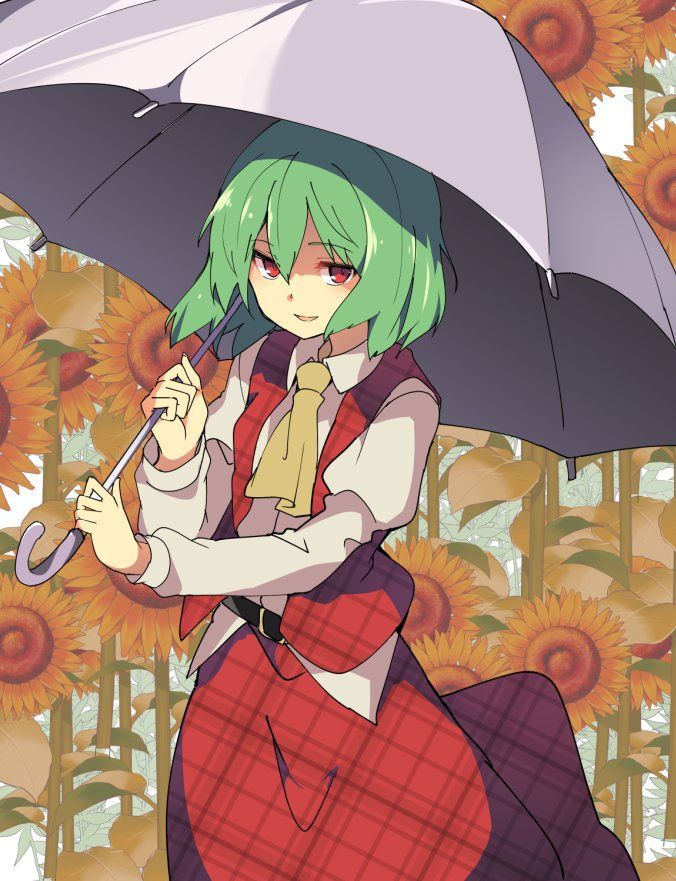 【 secondary ZIP 】 Yuuka Rin and Kazami Yuuka image roundup 100 pieces Touhou Project 》 19