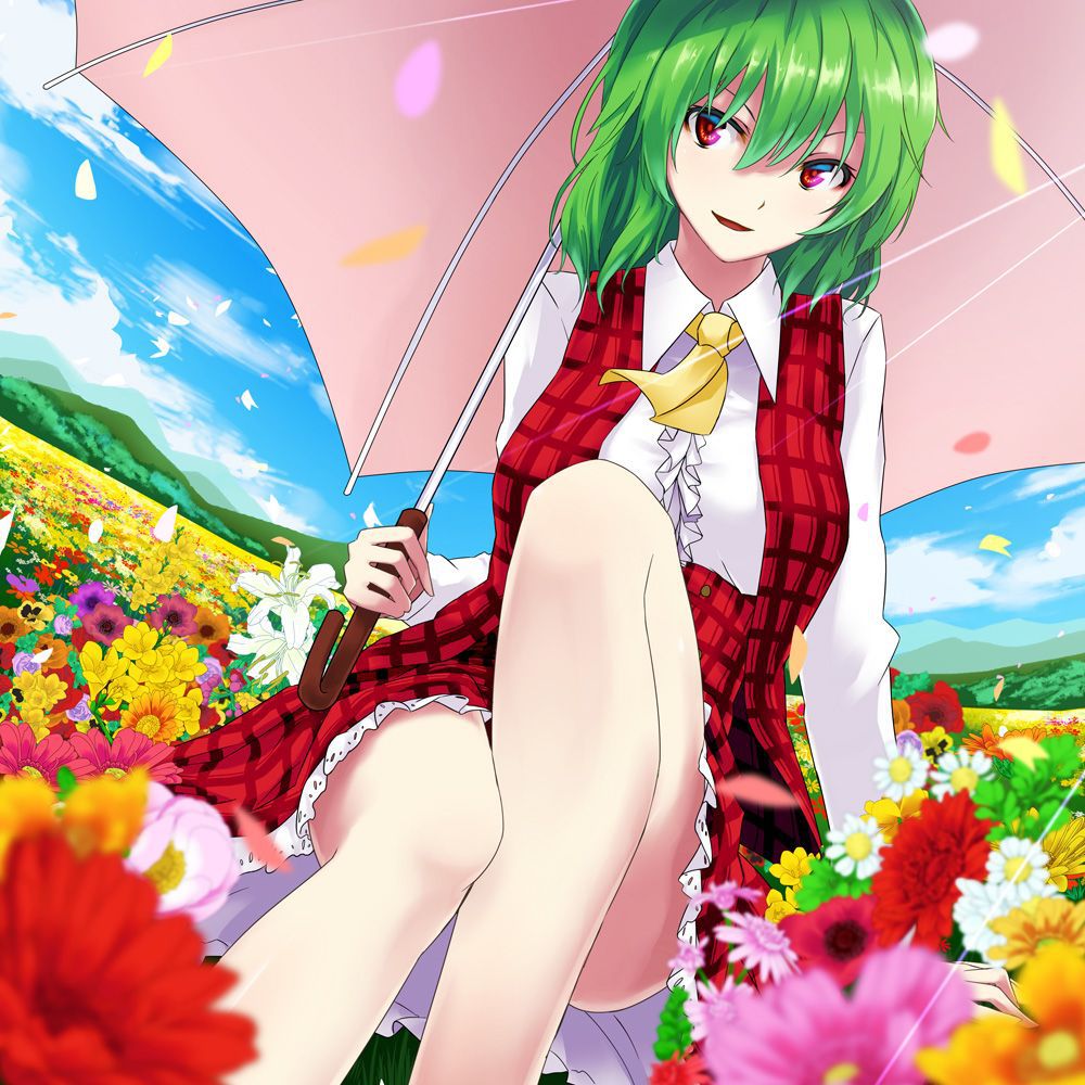 【 secondary ZIP 】 Yuuka Rin and Kazami Yuuka image roundup 100 pieces Touhou Project 》 2