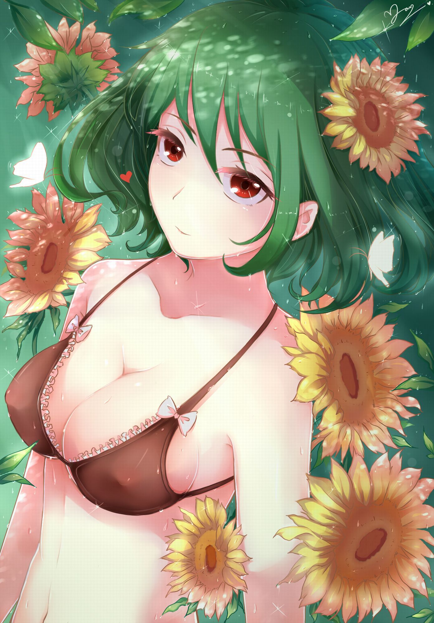 【 secondary ZIP 】 Yuuka Rin and Kazami Yuuka image roundup 100 pieces Touhou Project 》 26