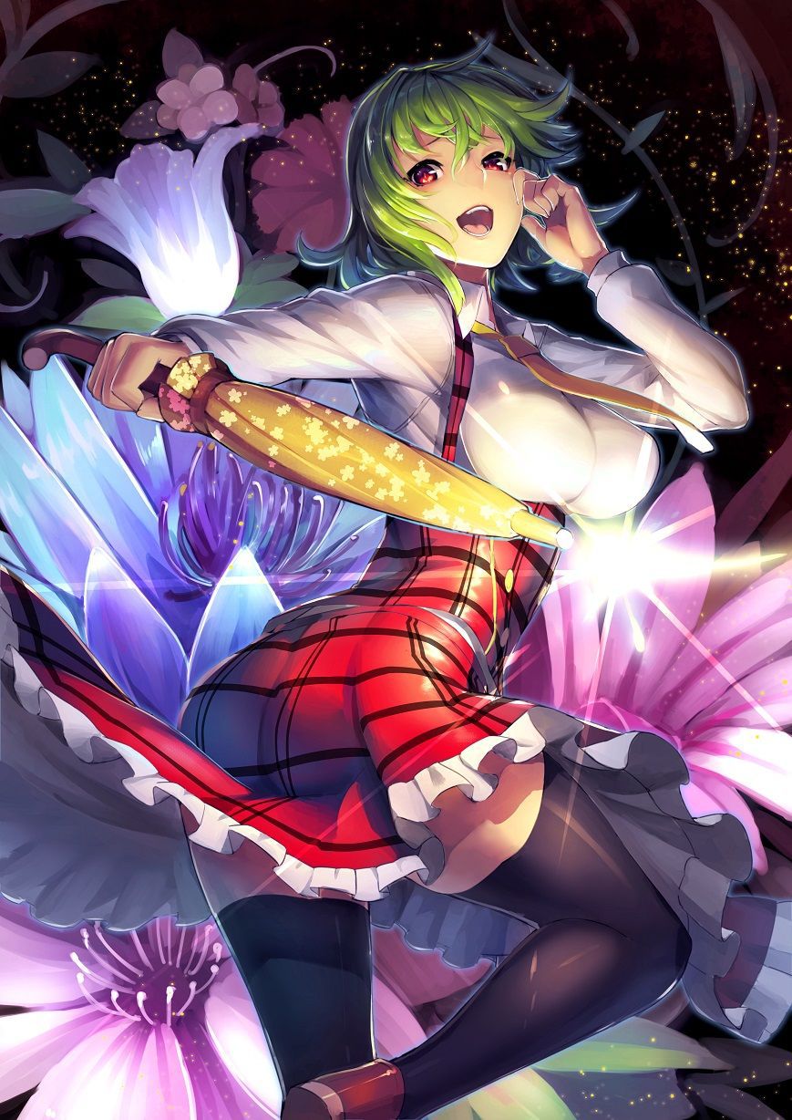 【 secondary ZIP 】 Yuuka Rin and Kazami Yuuka image roundup 100 pieces Touhou Project 》 4