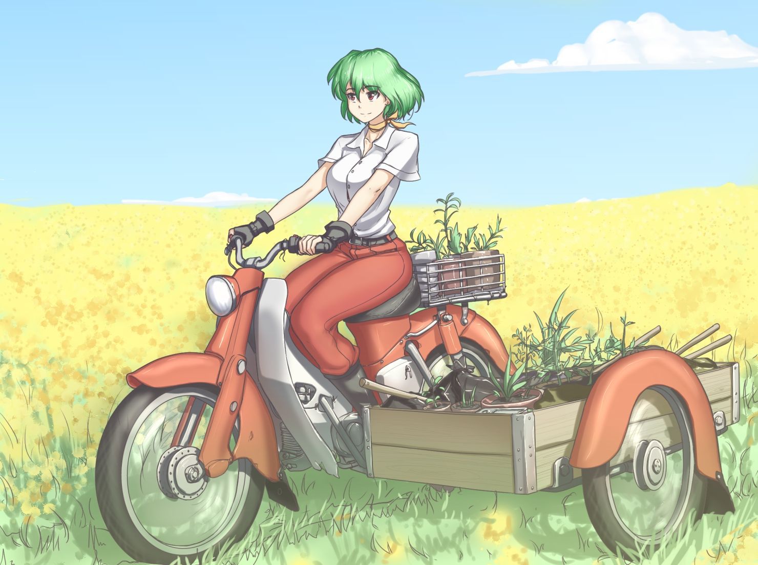 【 secondary ZIP 】 Yuuka Rin and Kazami Yuuka image roundup 100 pieces Touhou Project 》 43