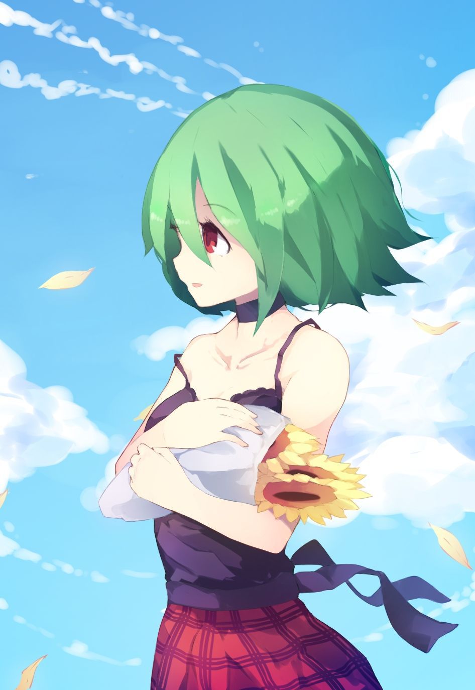 【 secondary ZIP 】 Yuuka Rin and Kazami Yuuka image roundup 100 pieces Touhou Project 》 62