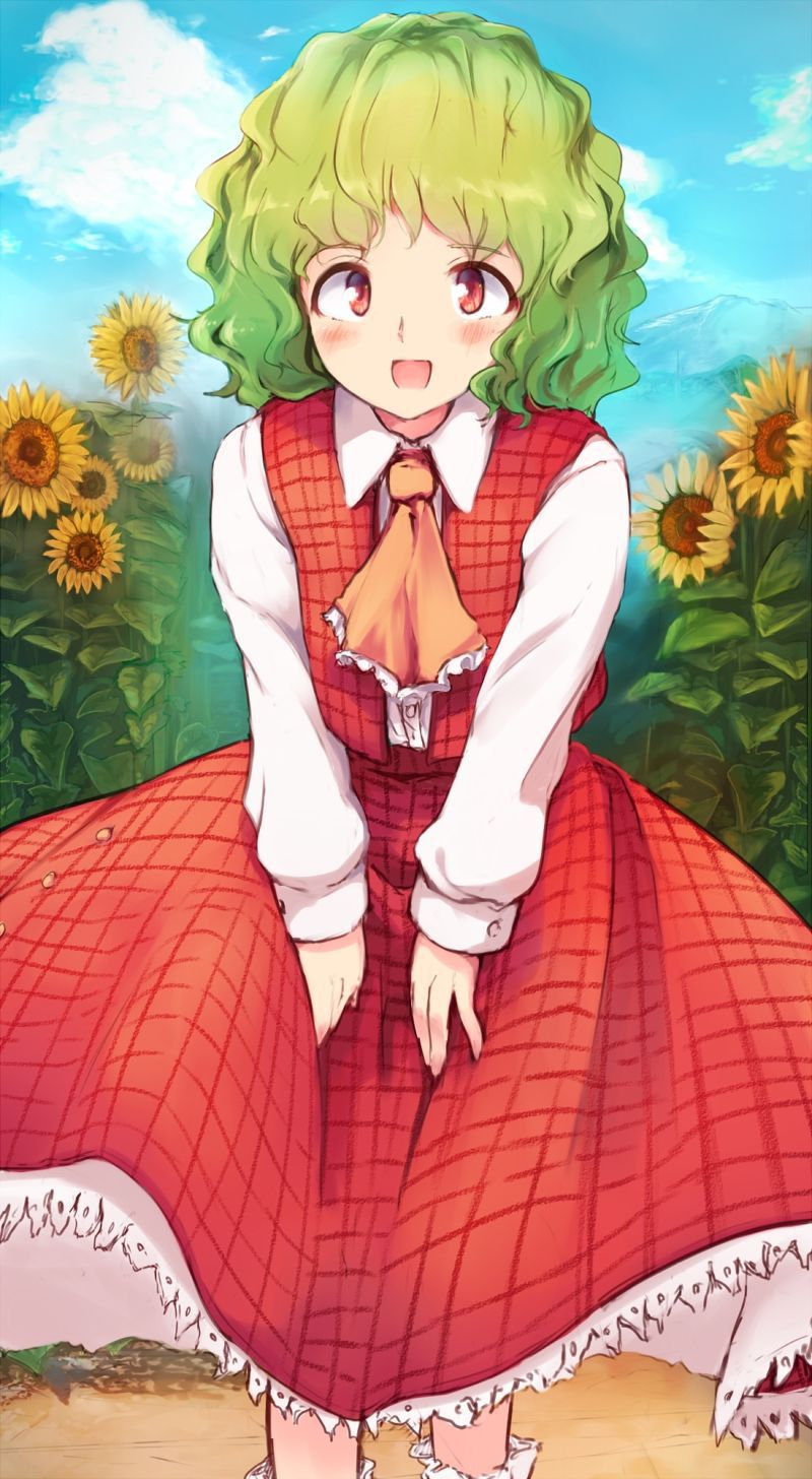 【 secondary ZIP 】 Yuuka Rin and Kazami Yuuka image roundup 100 pieces Touhou Project 》 66