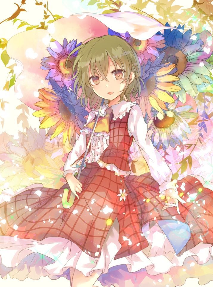 【 secondary ZIP 】 Yuuka Rin and Kazami Yuuka image roundup 100 pieces Touhou Project 》 70