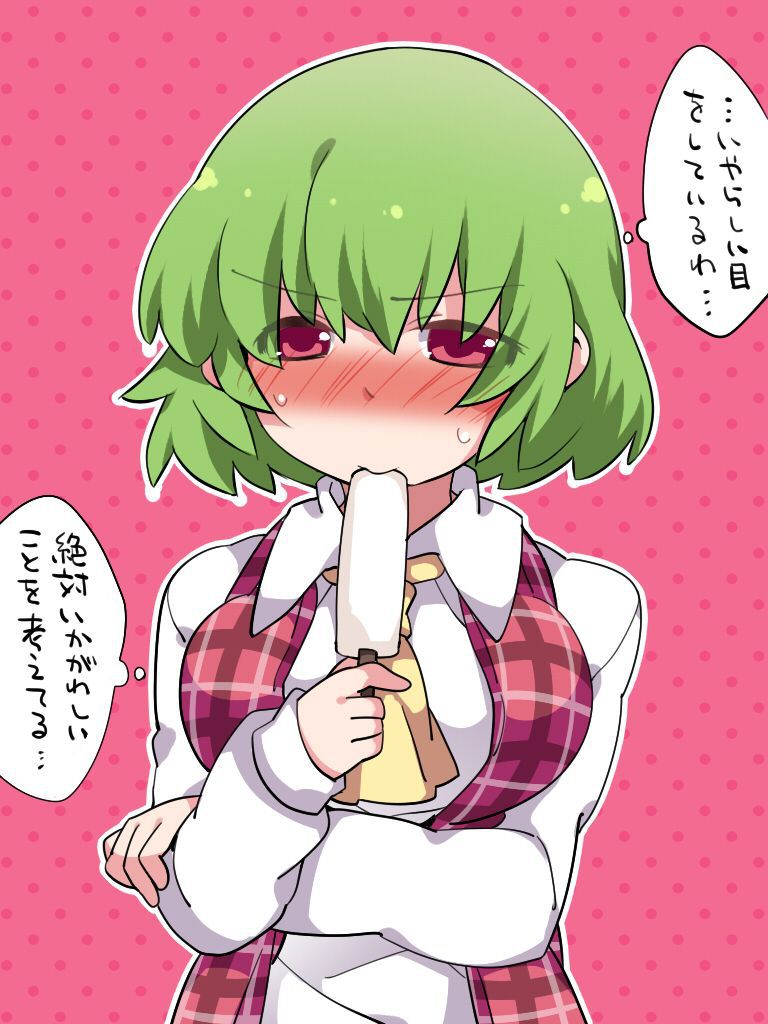 【 secondary ZIP 】 Yuuka Rin and Kazami Yuuka image roundup 100 pieces Touhou Project 》 75