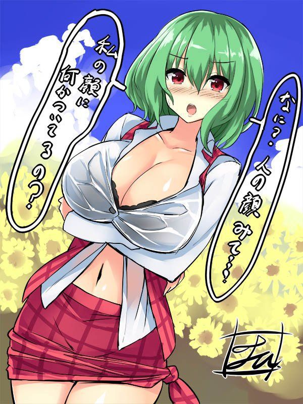 【 secondary ZIP 】 Yuuka Rin and Kazami Yuuka image roundup 100 pieces Touhou Project 》 79