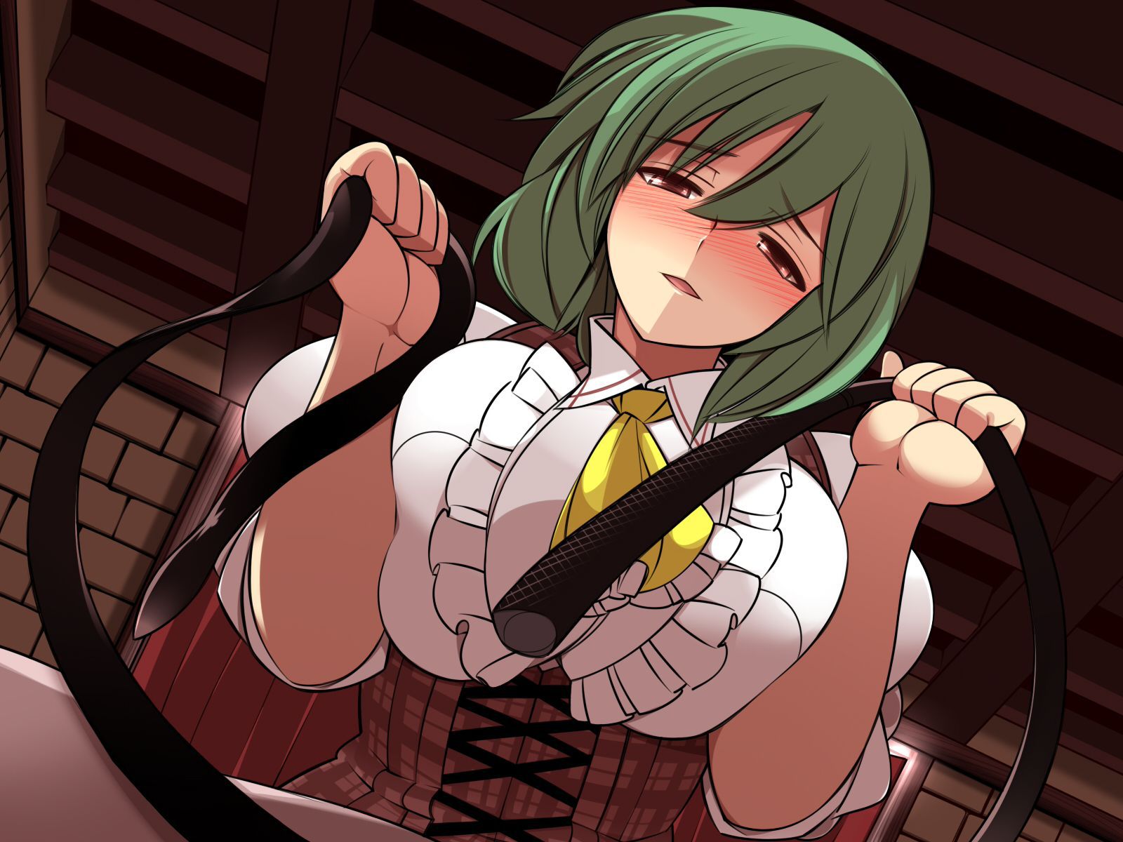 【 secondary ZIP 】 Yuuka Rin and Kazami Yuuka image roundup 100 pieces Touhou Project 》 90