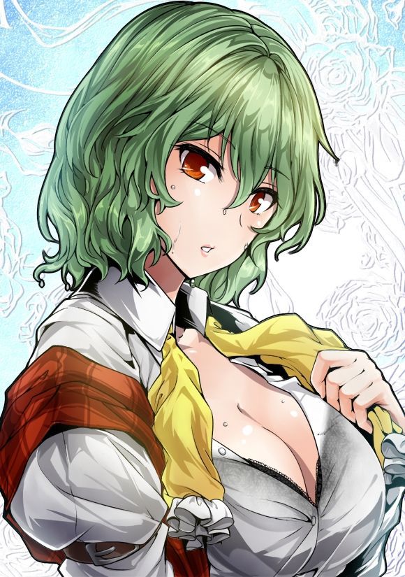 【 secondary ZIP 】 Yuuka Rin and Kazami Yuuka image roundup 100 pieces Touhou Project 》 96