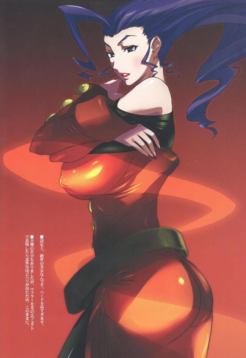 I've been collecting images because Street Fighter is erotic. 24