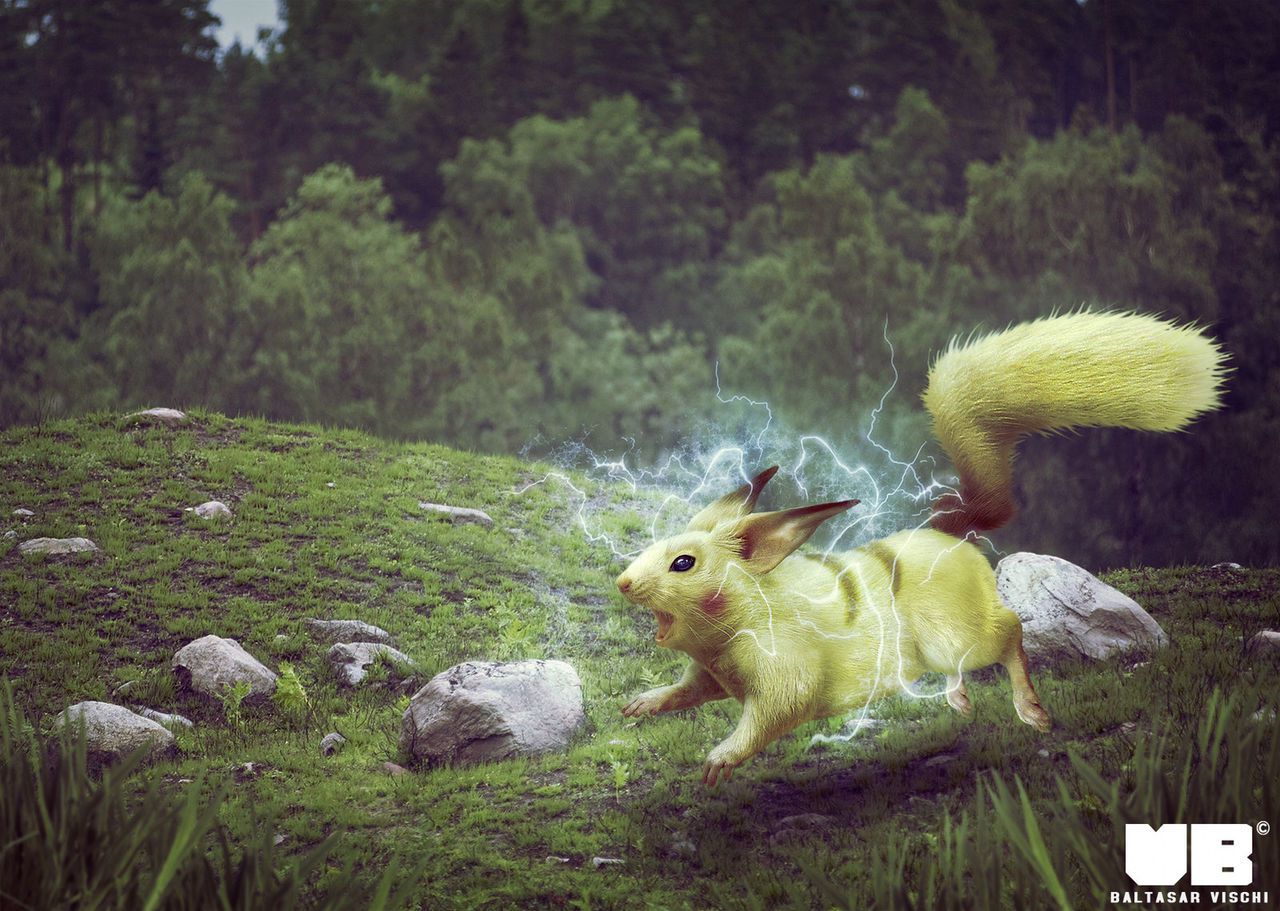 Realistic Pokemon 27