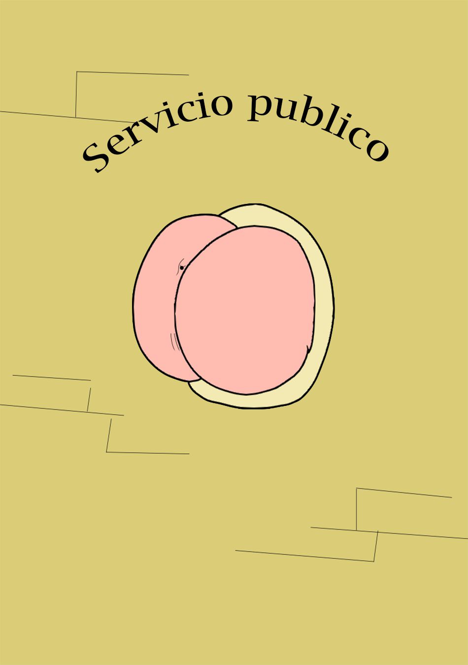 servicio publico 1