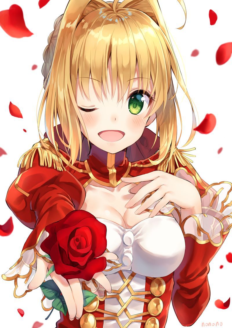Secondary】 Aii Image summary of Fate/Grand order (Fate/EXTRA-CCC), Nero Claudius! 02 [20 Photos] 11