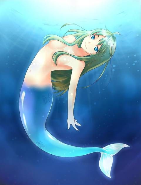 [52 Photos] The fantasy two-dimensional fetish image of mermaids. 9 [Mermaid] 34