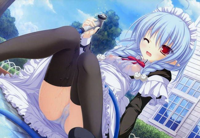 [50 pieces of maid clothes] cute maid erotic image Gris! part21 11