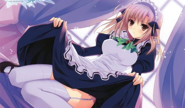 [50 pieces of maid clothes] cute maid erotic image Gris! part21 4