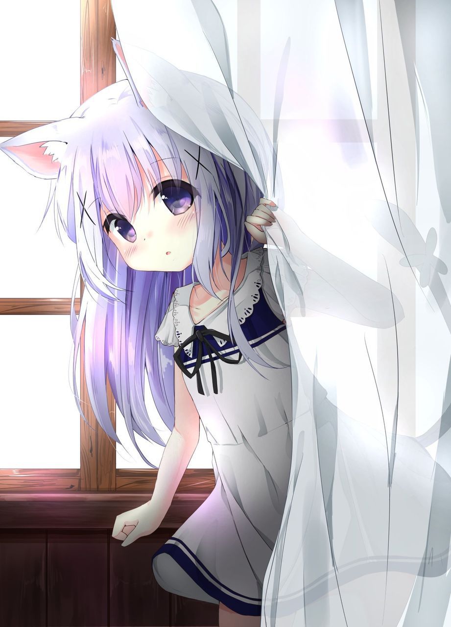 [2nd] Secondary image of the adorable beast ear daughter to want to caress the head [daughter of the Beast ears] 15 4