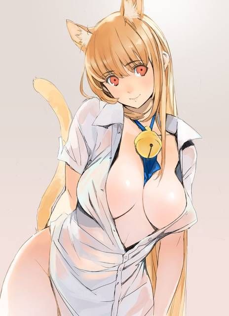 [56 pieces] A collection of eroticism fetishism images of two dimensions, the cat ear girl. 5 [cat ear] 12