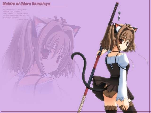 [56 pieces] A collection of eroticism fetishism images of two dimensions, the cat ear girl. 5 [cat ear] 13