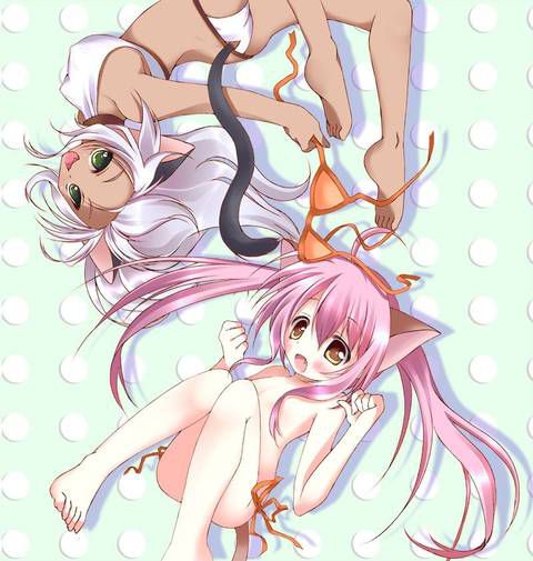 [56 pieces] A collection of eroticism fetishism images of two dimensions, the cat ear girl. 5 [cat ear] 18