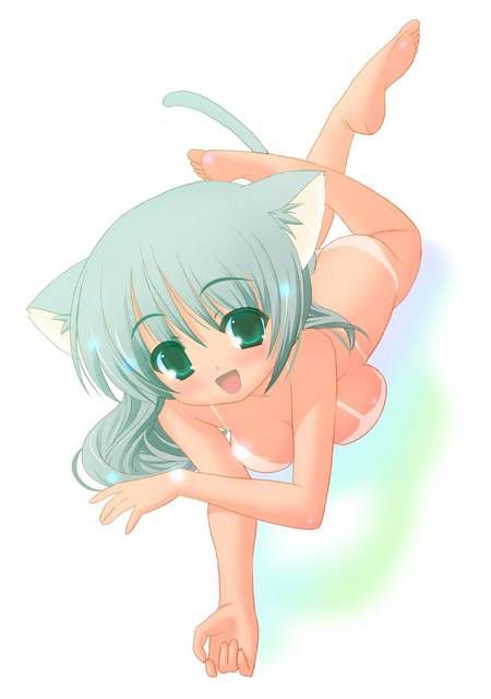 [56 pieces] A collection of eroticism fetishism images of two dimensions, the cat ear girl. 5 [cat ear] 23