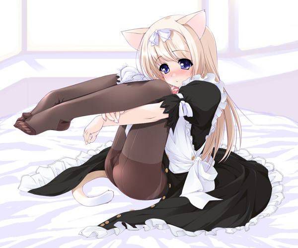 [56 pieces] A collection of eroticism fetishism images of two dimensions, the cat ear girl. 5 [cat ear] 38