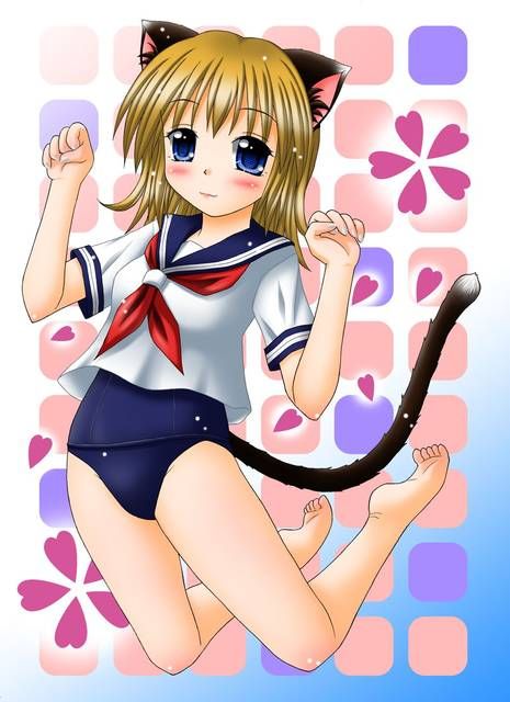 [56 pieces] A collection of eroticism fetishism images of two dimensions, the cat ear girl. 5 [cat ear] 4