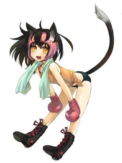 [56 pieces] A collection of eroticism fetishism images of two dimensions, the cat ear girl. 5 [cat ear] 43