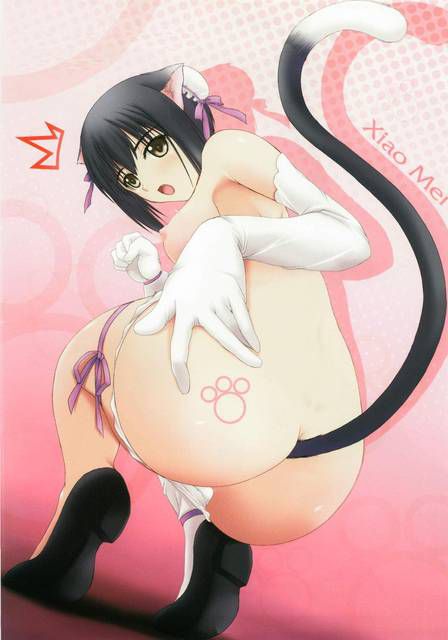 [56 pieces] A collection of eroticism fetishism images of two dimensions, the cat ear girl. 5 [cat ear] 47