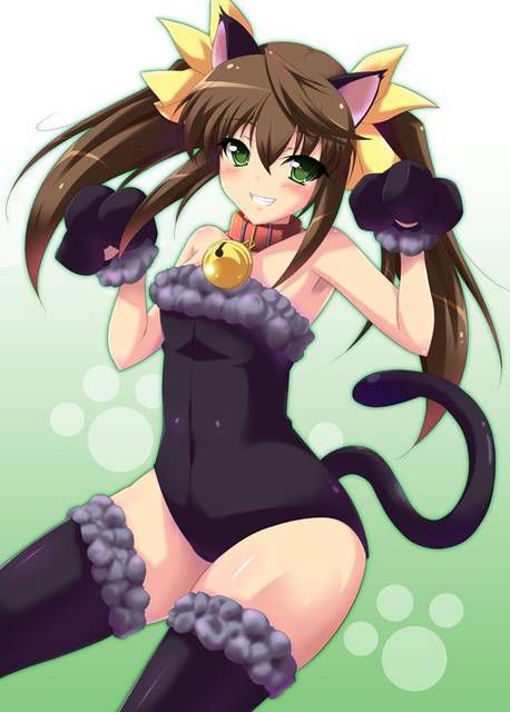 [56 pieces] A collection of eroticism fetishism images of two dimensions, the cat ear girl. 5 [cat ear] 49